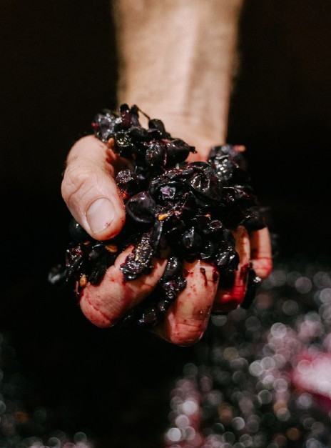 Host your Festive Work Party with Juniper Wines